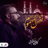 کربلایی میثم تربتی