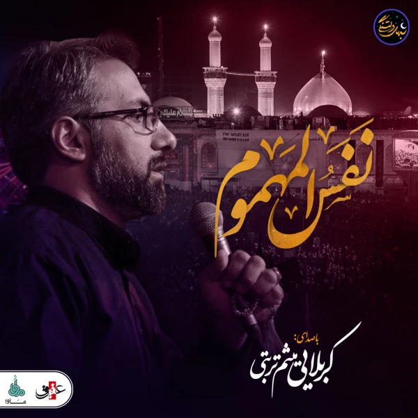 تصویر کربلایی میثم تربتی - آه یا زینب (س)