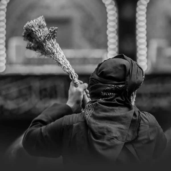 تصویر سایر ذاکرین - طبره السما