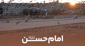 شهادت امام حسن علیه السلام