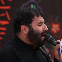 سیدمهدی میرداماد