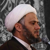 من اگه خاک بودم میشدم خاک پاهای زائرات