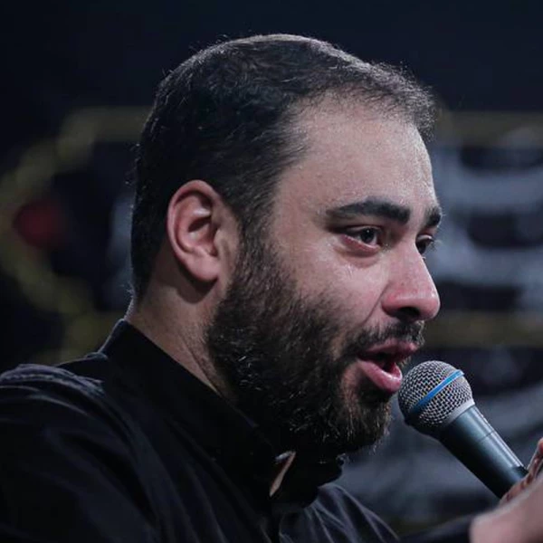 تصویر حامد خمسه - میوه‌ی قلب علی در حرمش گریان است