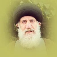 تصویر آیت الله فاطمی نیا(ره) - شرح دعای ابوحمزه ثمالی قسمت 1