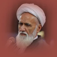 تصویر آیت الله حائری شیرازی - انضباط نیاز زندگی