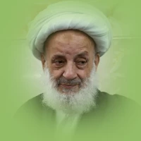 آیت الله مجتهدی تهرانی (ره)