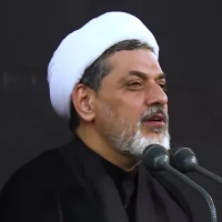 تصویر حجت الاسلام رفیعی - تفسیر آیه ۲۱۳ سوره بقره