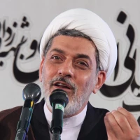 تصویر حجت الاسلام رفیعی - آیا زنان و مردان باهم تفاوت دارند