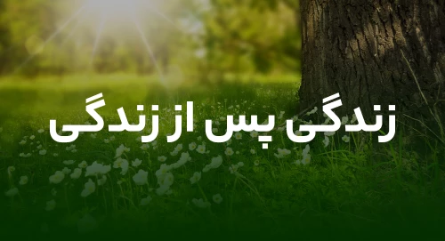 زندگی پس از زندگی