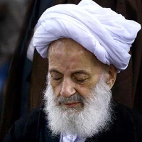 تصویر آیت الله مجتهدی تهرانی (ره) - استغفار از عبادت