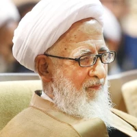 شکوه حضرت زینب (س)