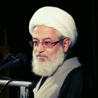 تصویر حجت الاسلام  عابدینی - شکر وحدت