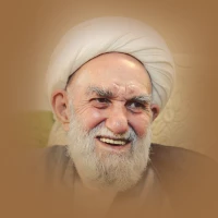 آیت الله ناصری (ره)