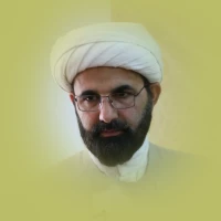حجت الاسلام حمید رضا مهدوی ارفع