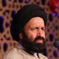 نائب خاص امام حسین (ع)