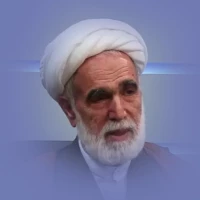 حجت الاسلام و المسلمين  رضا محمدي
