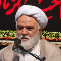 تصویر شیخ محمد باقر شریعت پناه - سخنرانی جمعه شب ۲۶ خرداد