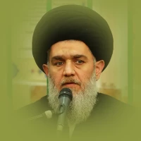 حجت الاسلام سید حسین مومنی