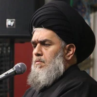 امام کاظم و مرد دشنام دهنده