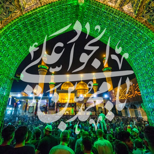 تصویر سایر ذاکرین - ای میوه‌ی قلب آقای خراسان