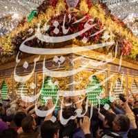 سایر ذاکرین