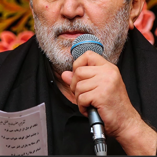 تصویر سایر ذاکرین - زیارت ائمه بقیع