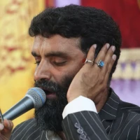 امام رضا از خدا میخوام همش تو این شبا