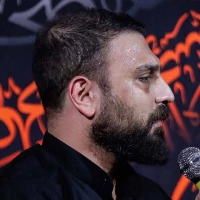 محمد ابراهیمی اصل