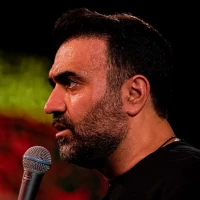 محسن عرب‌ خالقی