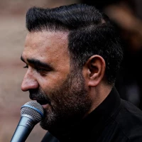 محسن عرب‌ خالقی