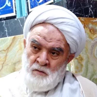 تصویر شیخ محمد باقر شریعت پناه - جلسه 31 فروردین اصفهان
