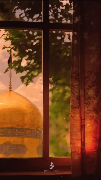 امام رضا............