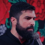 دورمو بین زلف مایلت زدم