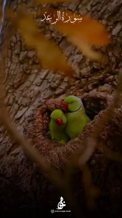 سوره الرعد
