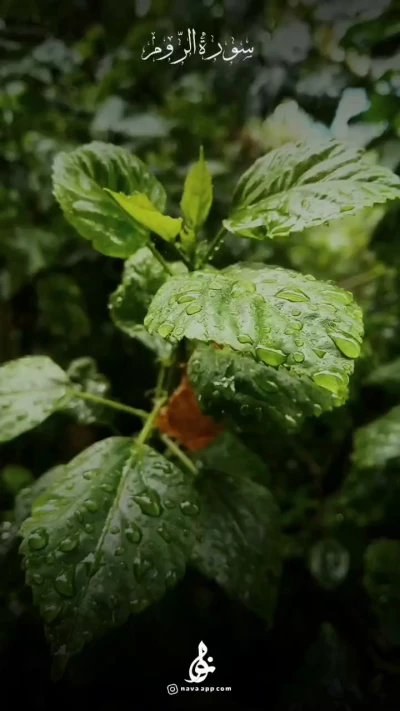 سوره الروم