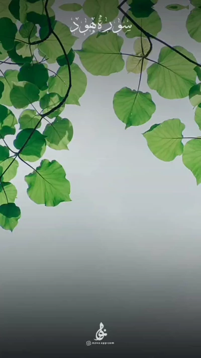 سوره هود 1