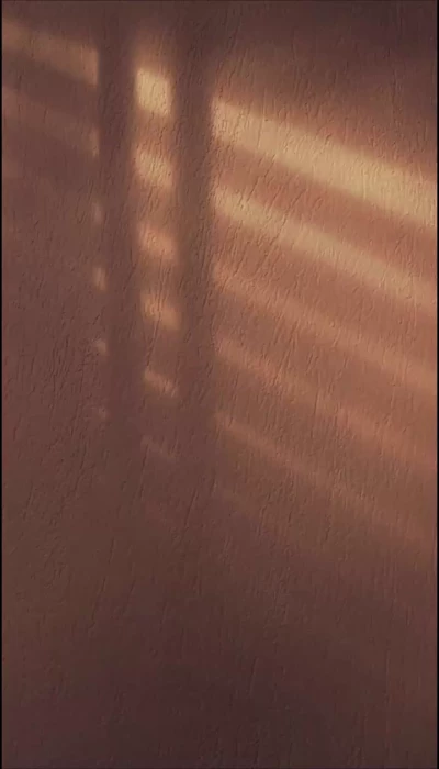 حدیث..........