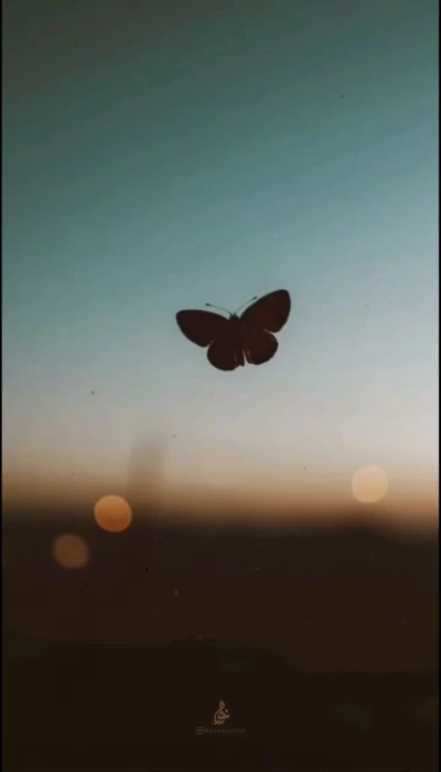 حدیث امام رضا ع