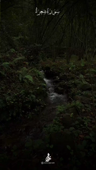 سوره شعرا 3