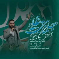 محمدحسین حدادیان