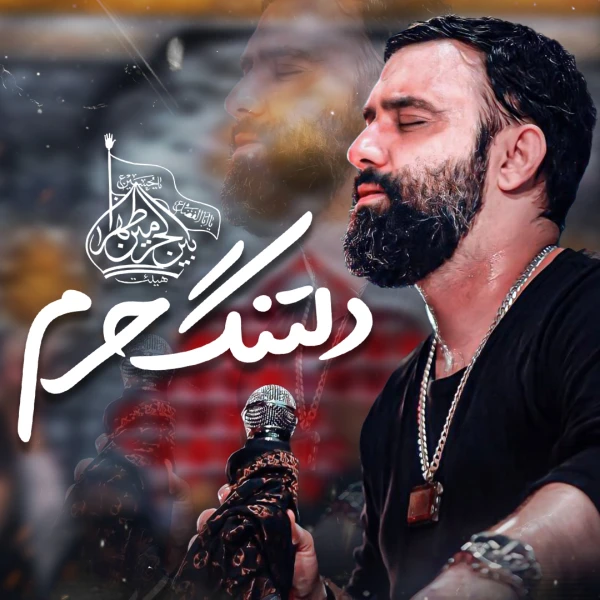 تصویر جواد مقدم - دلتنگ حرم