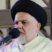 نامه ای به امام رضا (ع)