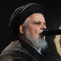 تصویر حجت الاسلام سید حسین هاشمی نژاد - شناخت امام زمان (جلسه اول)