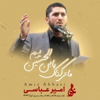 تصویر حاج امیر عباسی - ما ترکناک یابن الحسین