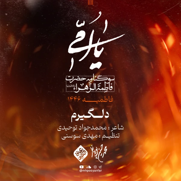تصویر محمدحسین پویانفر - دلگیرم