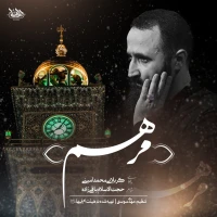محمد امینی