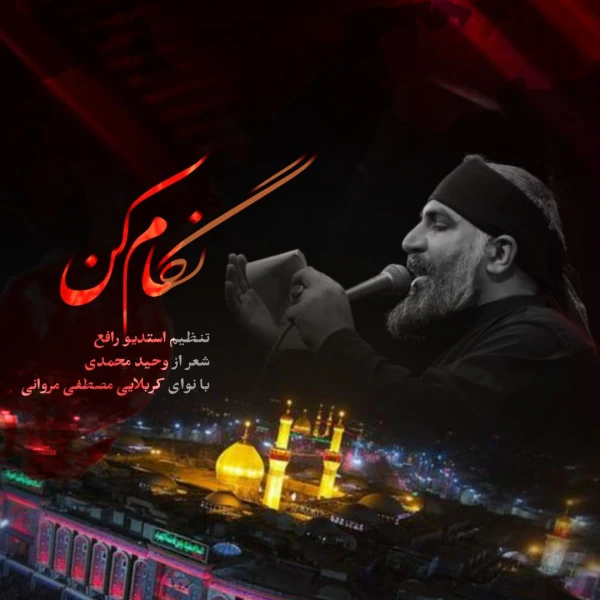 تصویر سایر ذاکرین - نگام کن