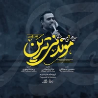 محسن عرب‌ خالقی