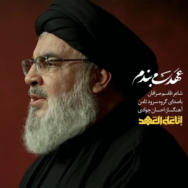 تصویر سایر ذاکرین - عهد می بندم