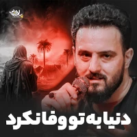 وحید شکری